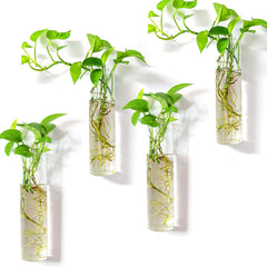 Kingbuy Wall-Mounted Plant Terrarium with 4 Glass Tubes