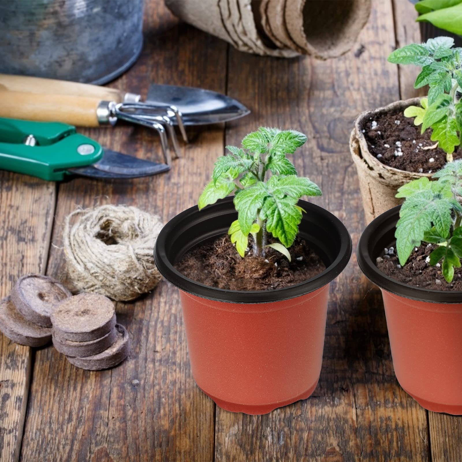 KINGLAKE 4-inch red pots displayed in a garden