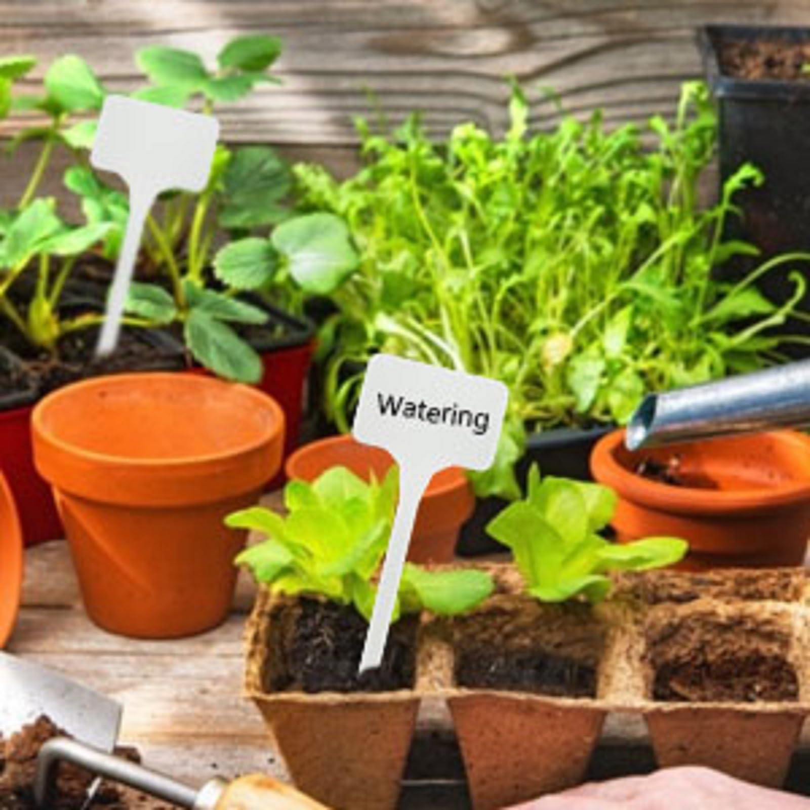 KINGLAKE GARDEN labels being written on with a permanent marker