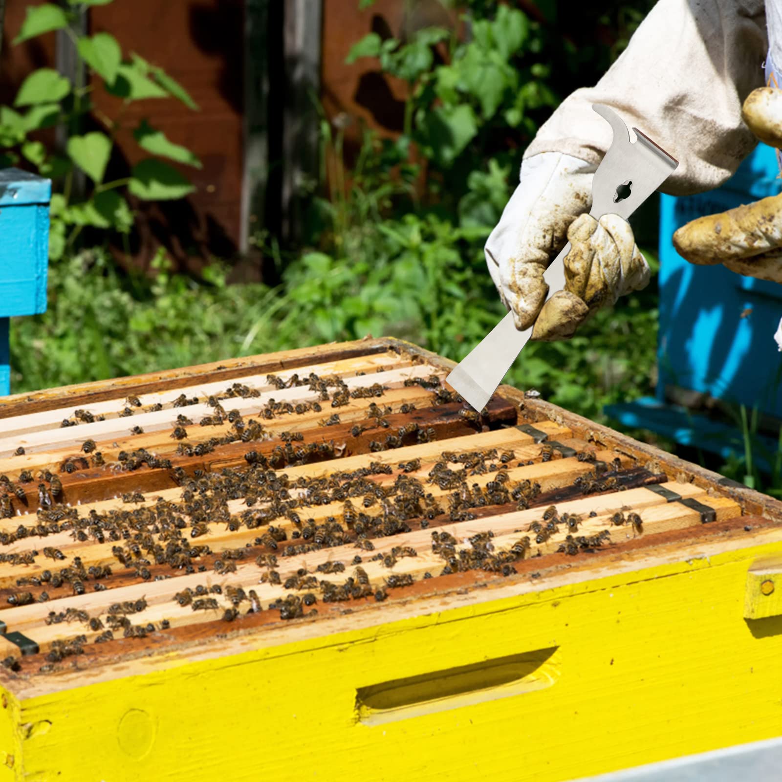 KINGLAKE Hive Scraper Tool on a wooden surface
