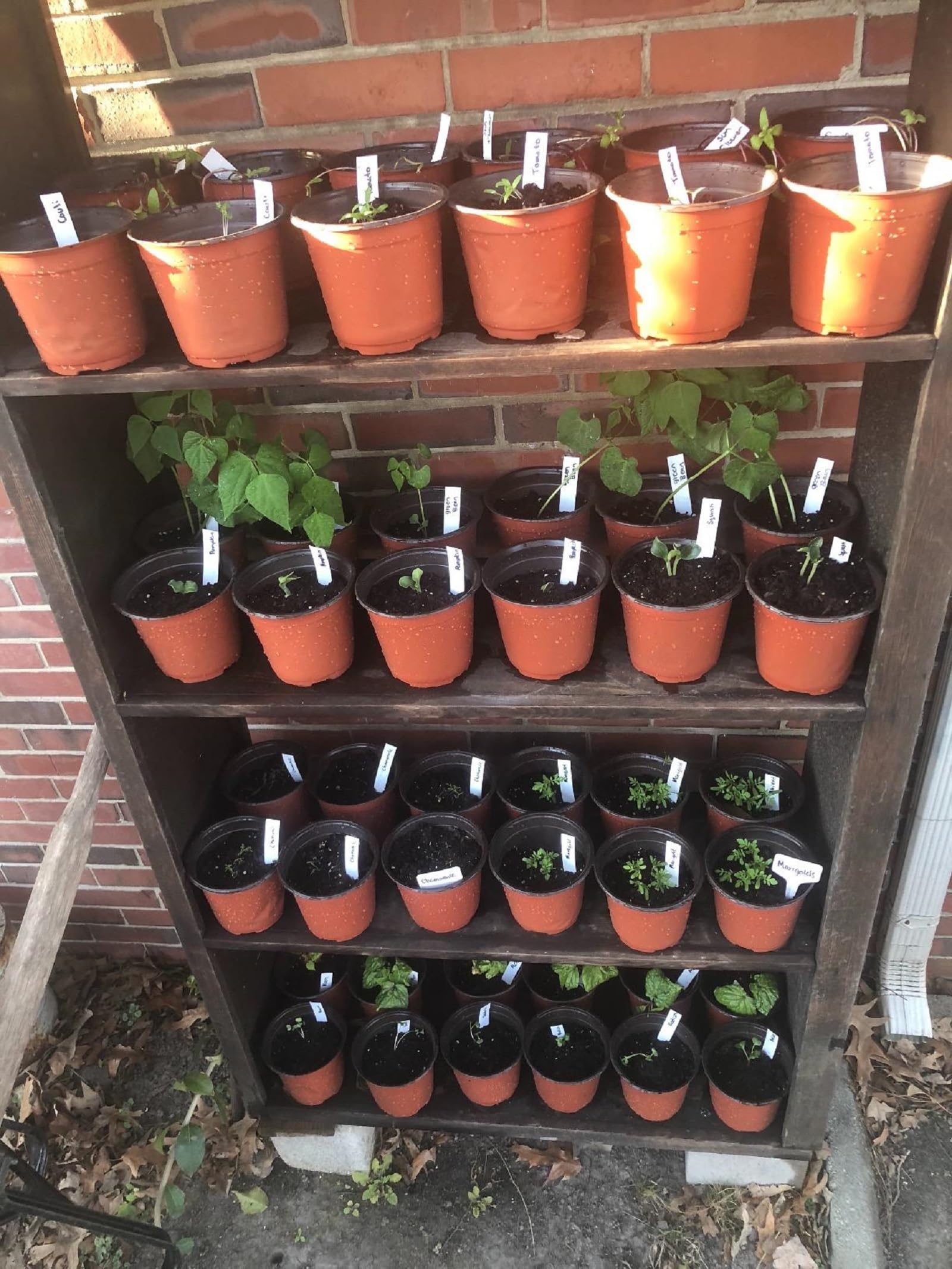 KINGLAKE nursery pots in a gardening setup