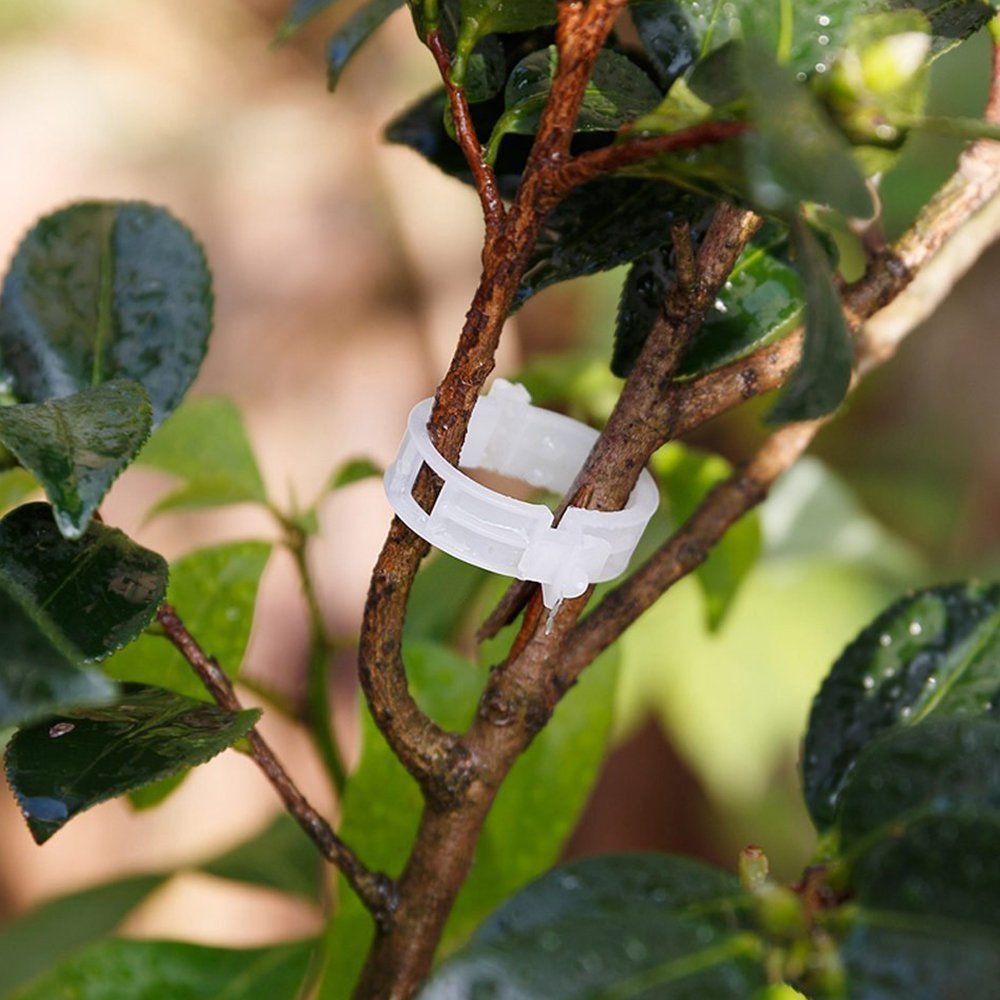 KINGLAKE Plant Support Garden Clips displayed on a garden table