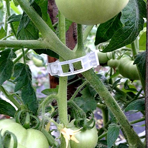 KINGLAKE Plant Support Garden Clips packaging showing dimensions