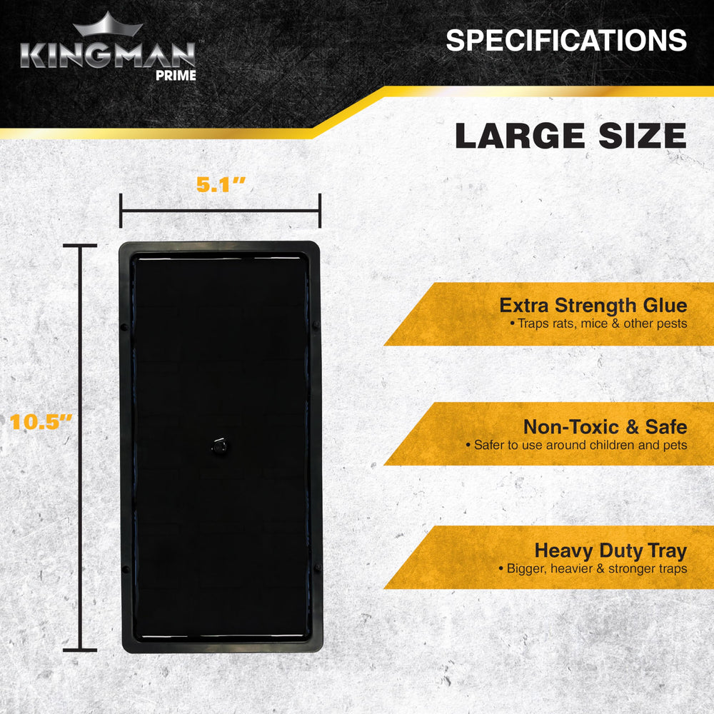 KINGMAN glue trap in use on the floor
