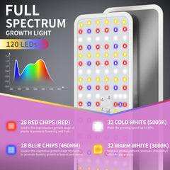 KINGPLUS Grow Light with remote control and adapter