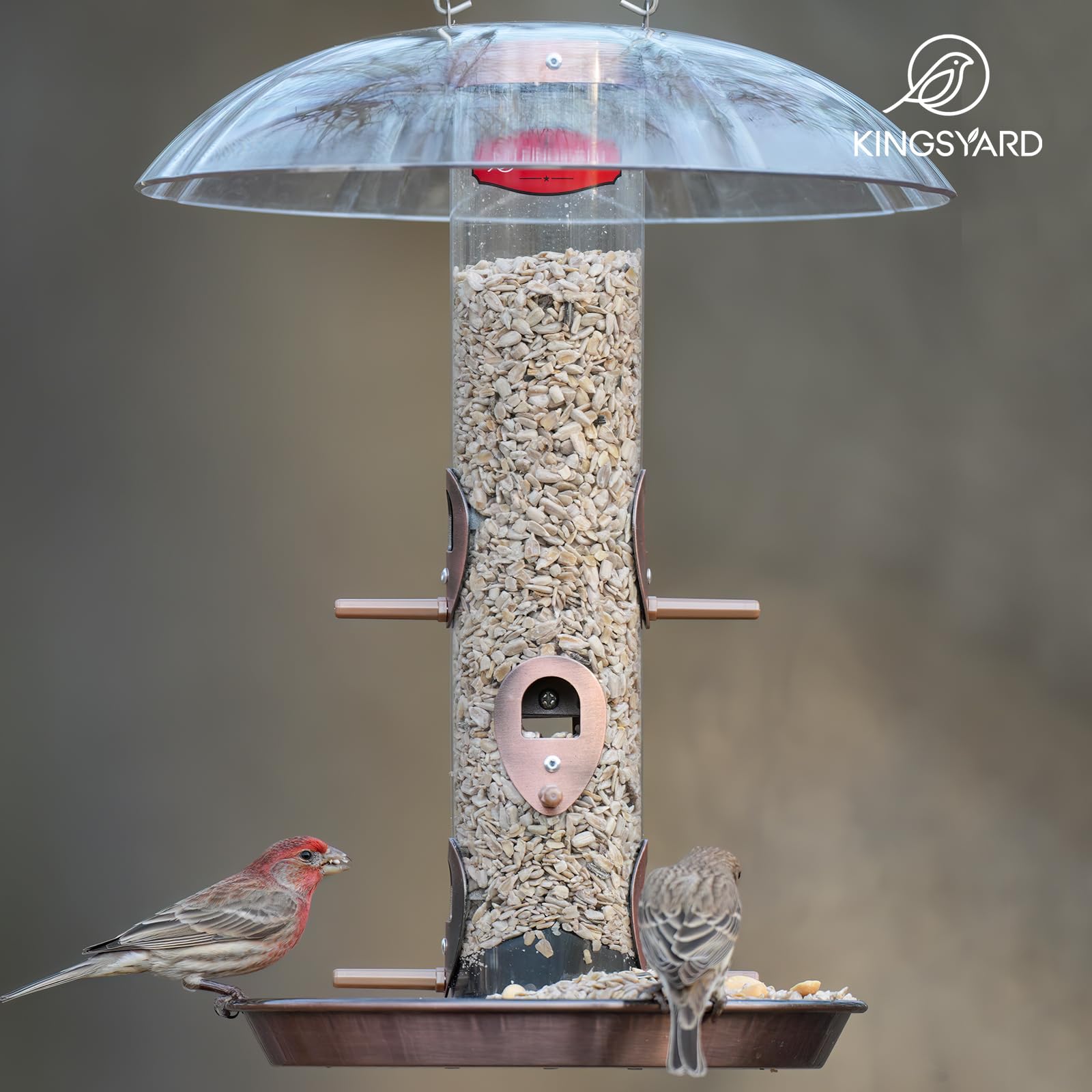 Kingsyard bird feeder displayed in a backyard setting