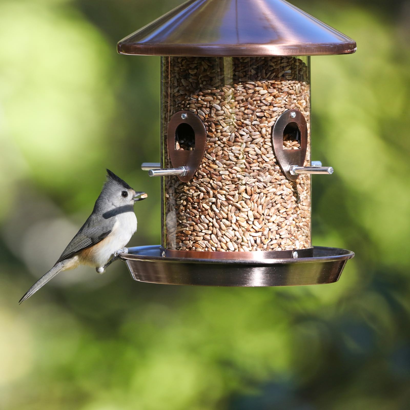 Kingsyard bird feeder filled with various seeds