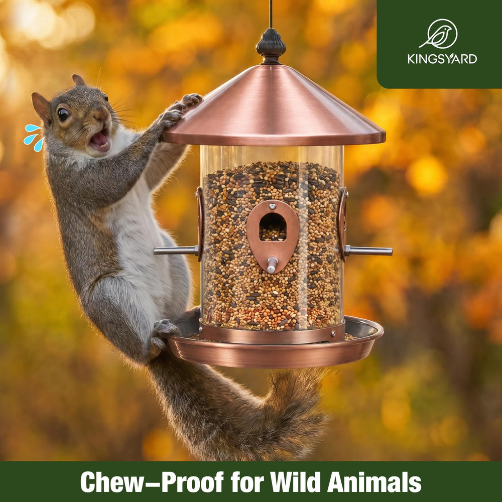 Kingsyard bird feeder hanging in a garden setting