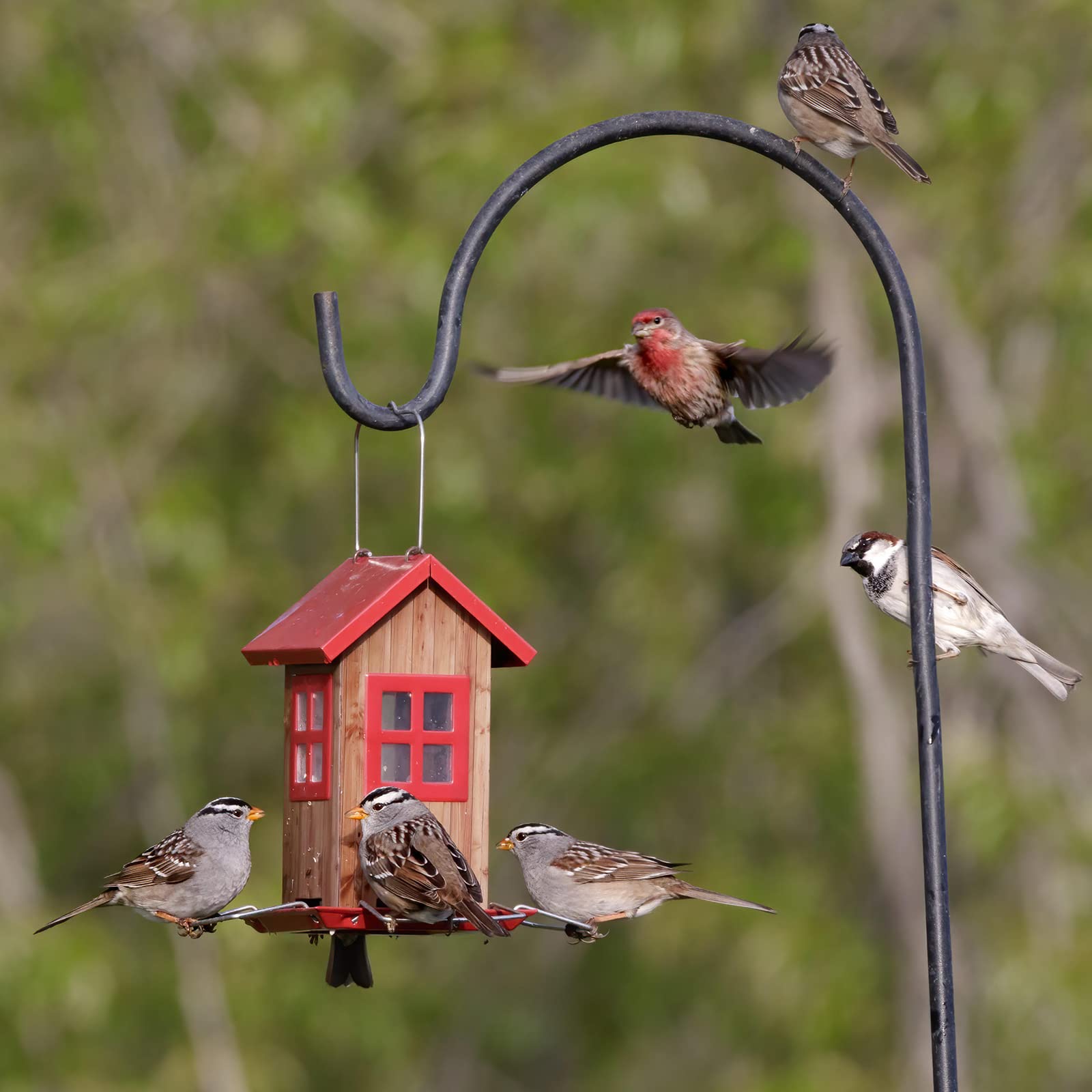Kingsyard Bird Feeder packaging