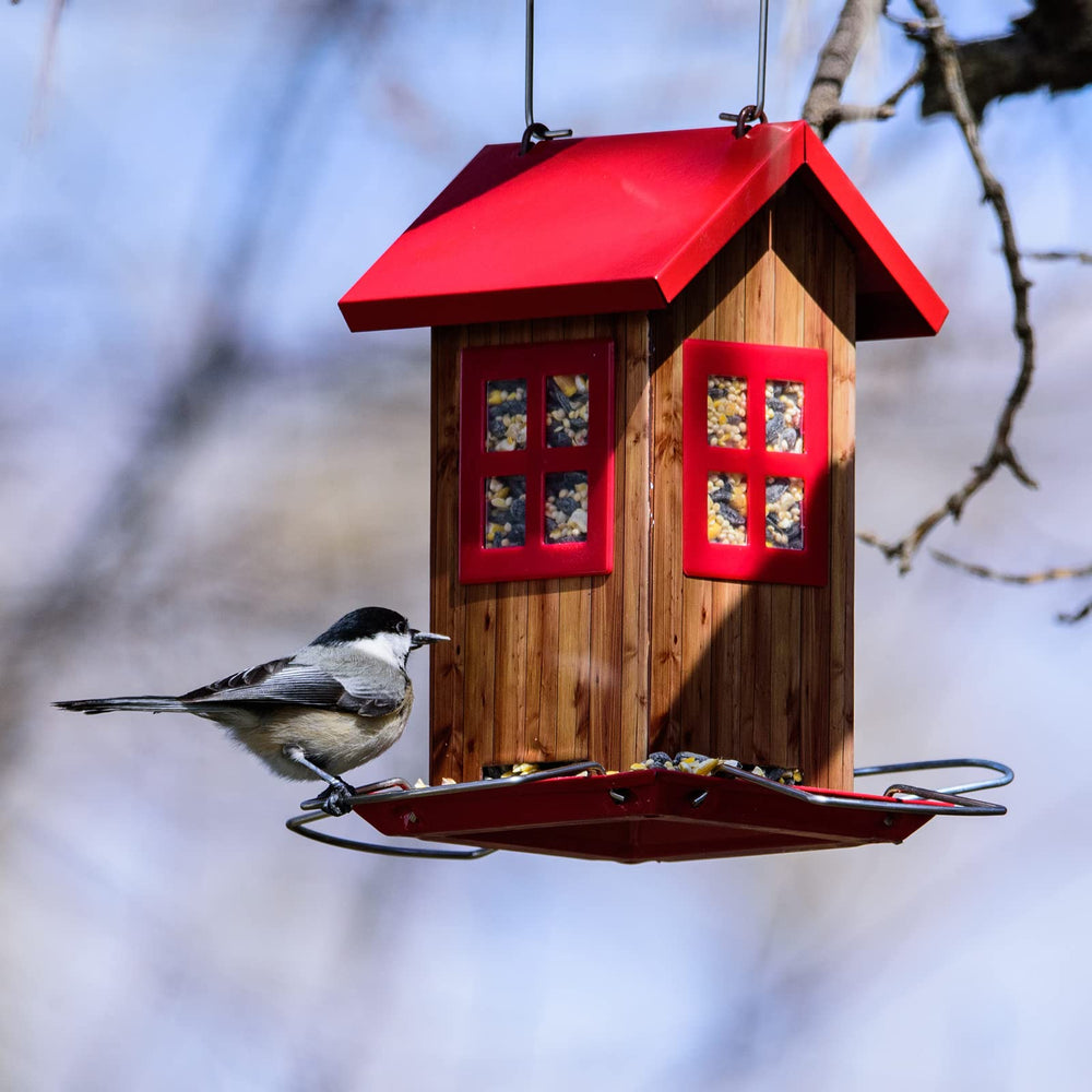 Kingsyard Bird Feeder with seeds visible through window