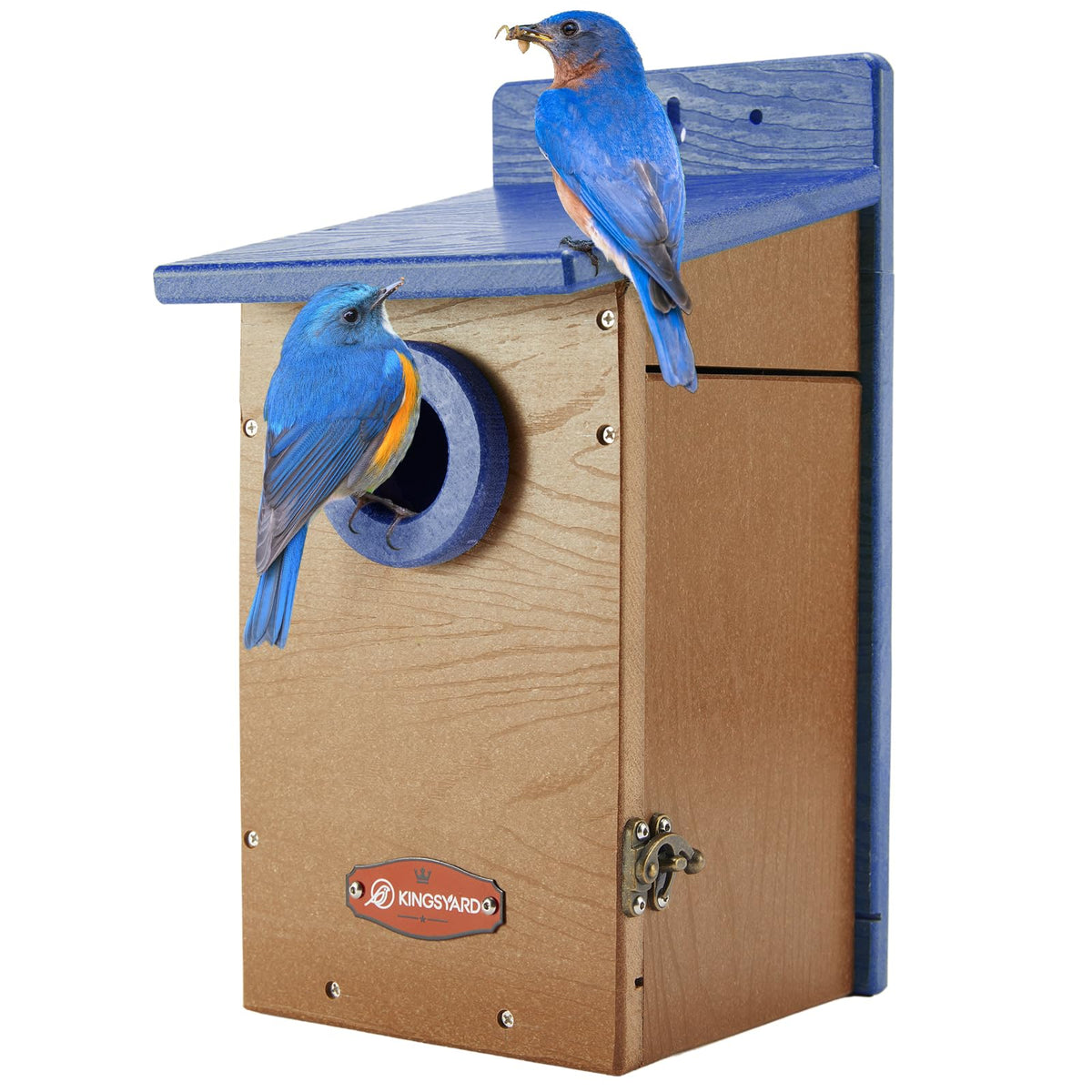 Kingsyard Bluebird House front view with clear entrance