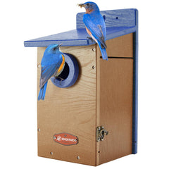 Kingsyard Bluebird House front view with clear entrance