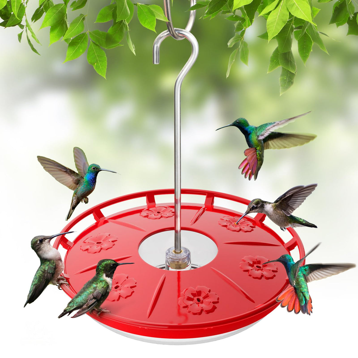 Kingsyard Hummingbird Feeder front view with six flower-shaped ports
