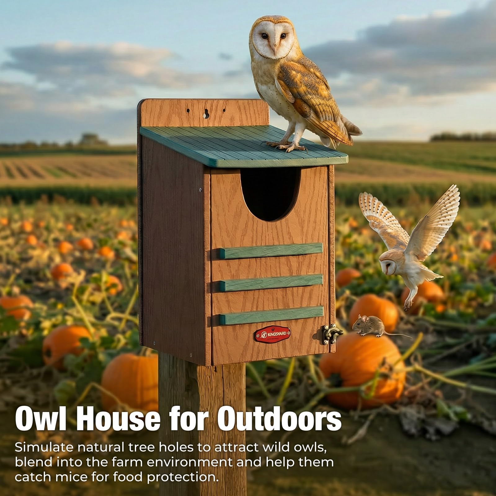 Kingsyard Owl House assembly instructions included