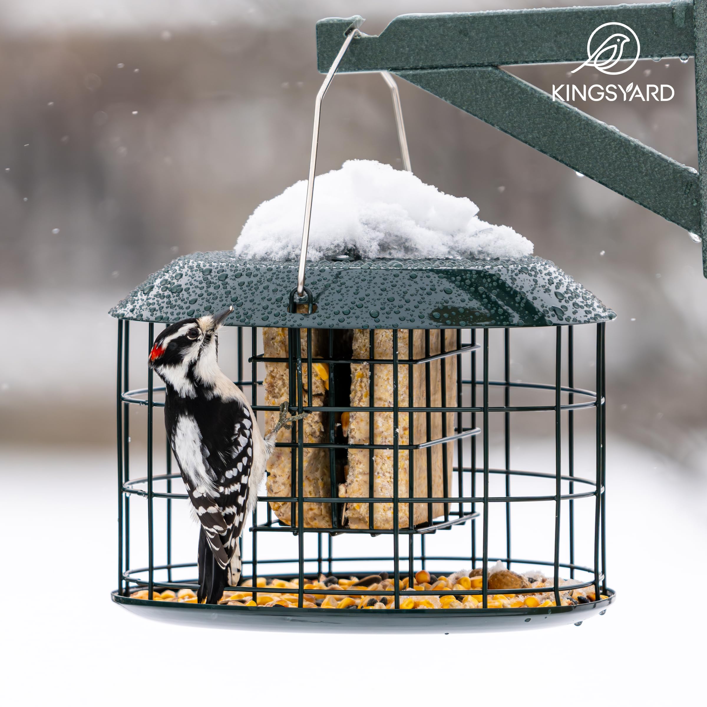 Kingsyard Squirrel Proof Suet Feeder packaging and contents