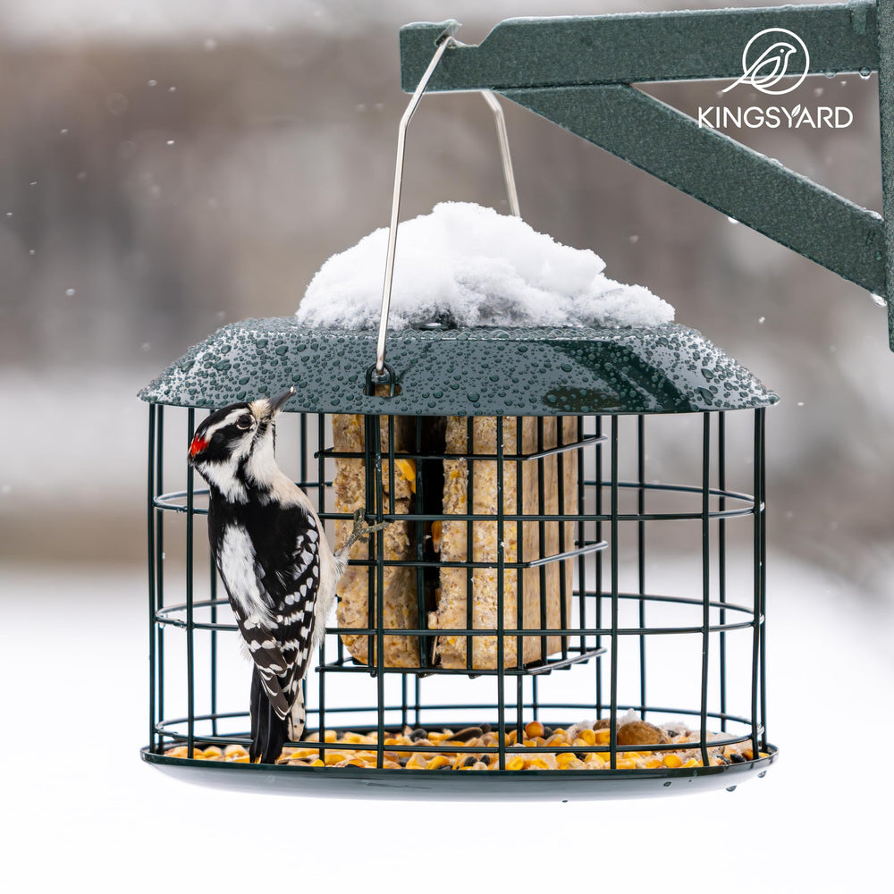 Kingsyard Squirrel Proof Suet Feeder packaging and contents