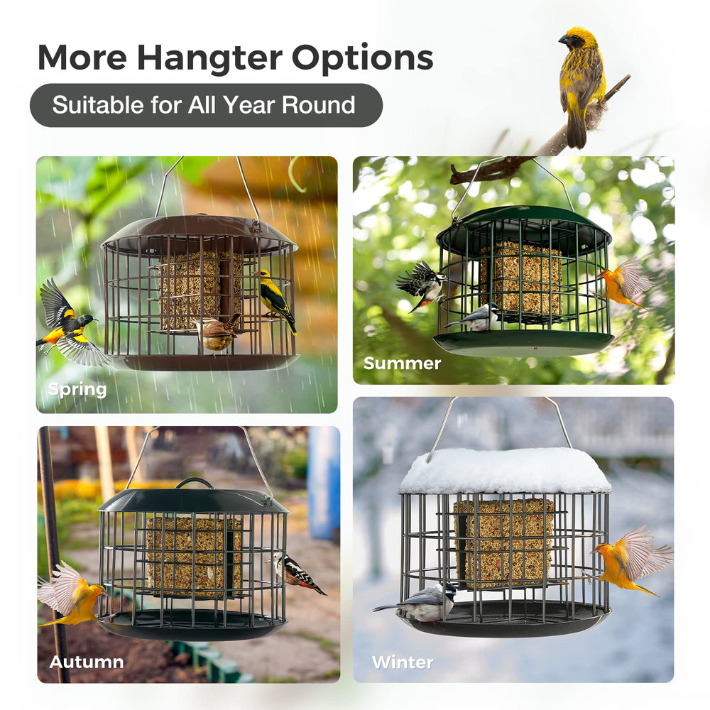 Kingsyard Squirrel Proof Suet Feeder with suet cakes inside