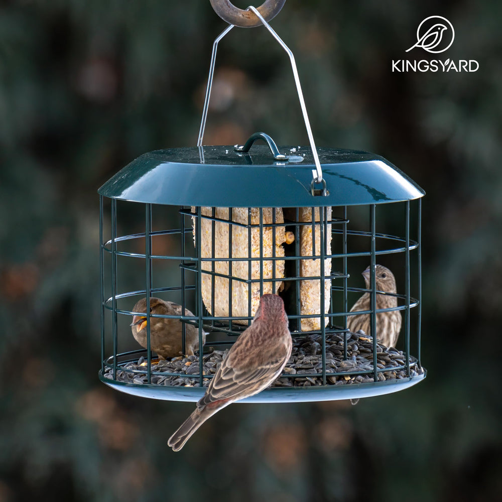 Kingsyard Squirrel Proof Suet Feeder with top baffle for weather protection