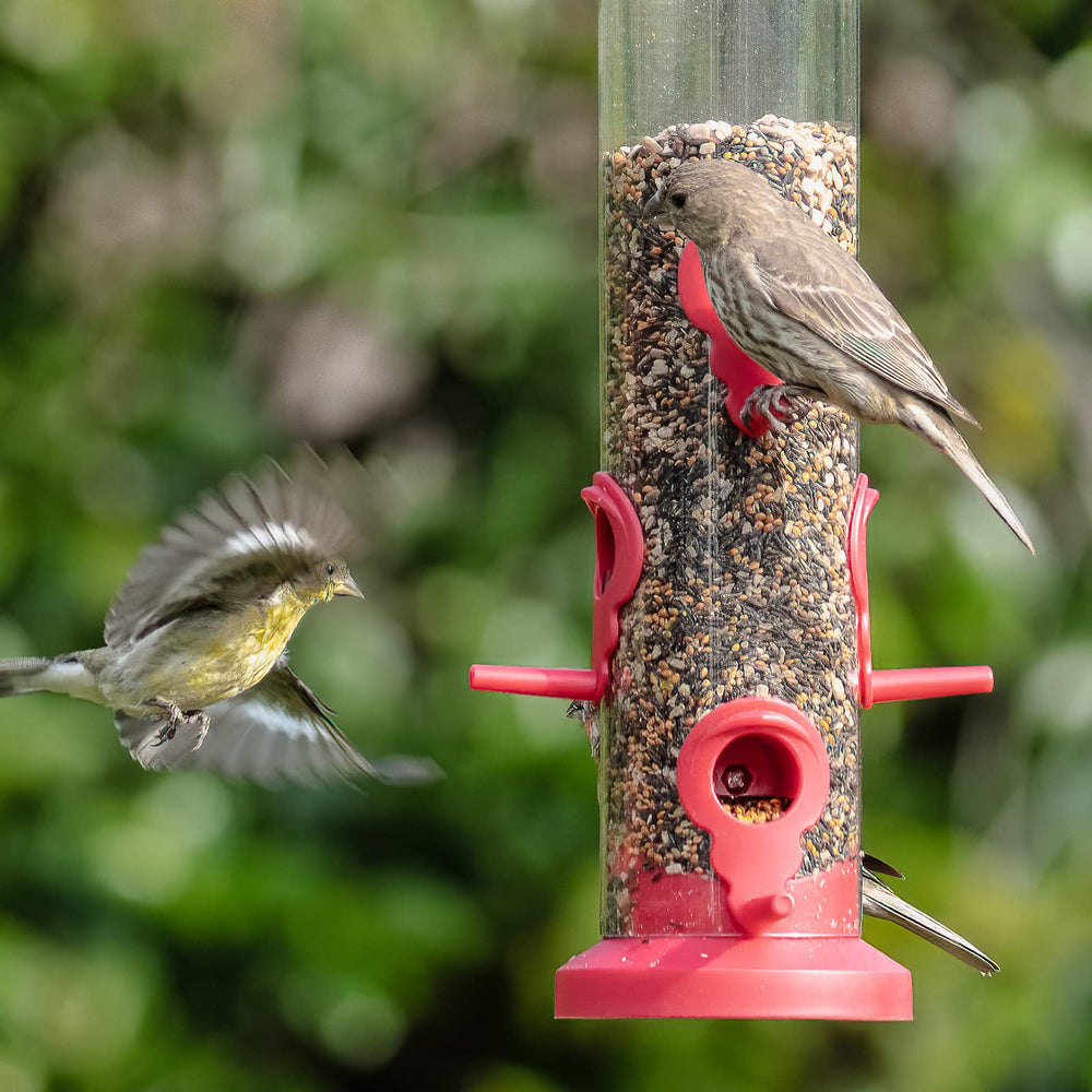 Kingsyard Tube Bird Feeder in garden setting