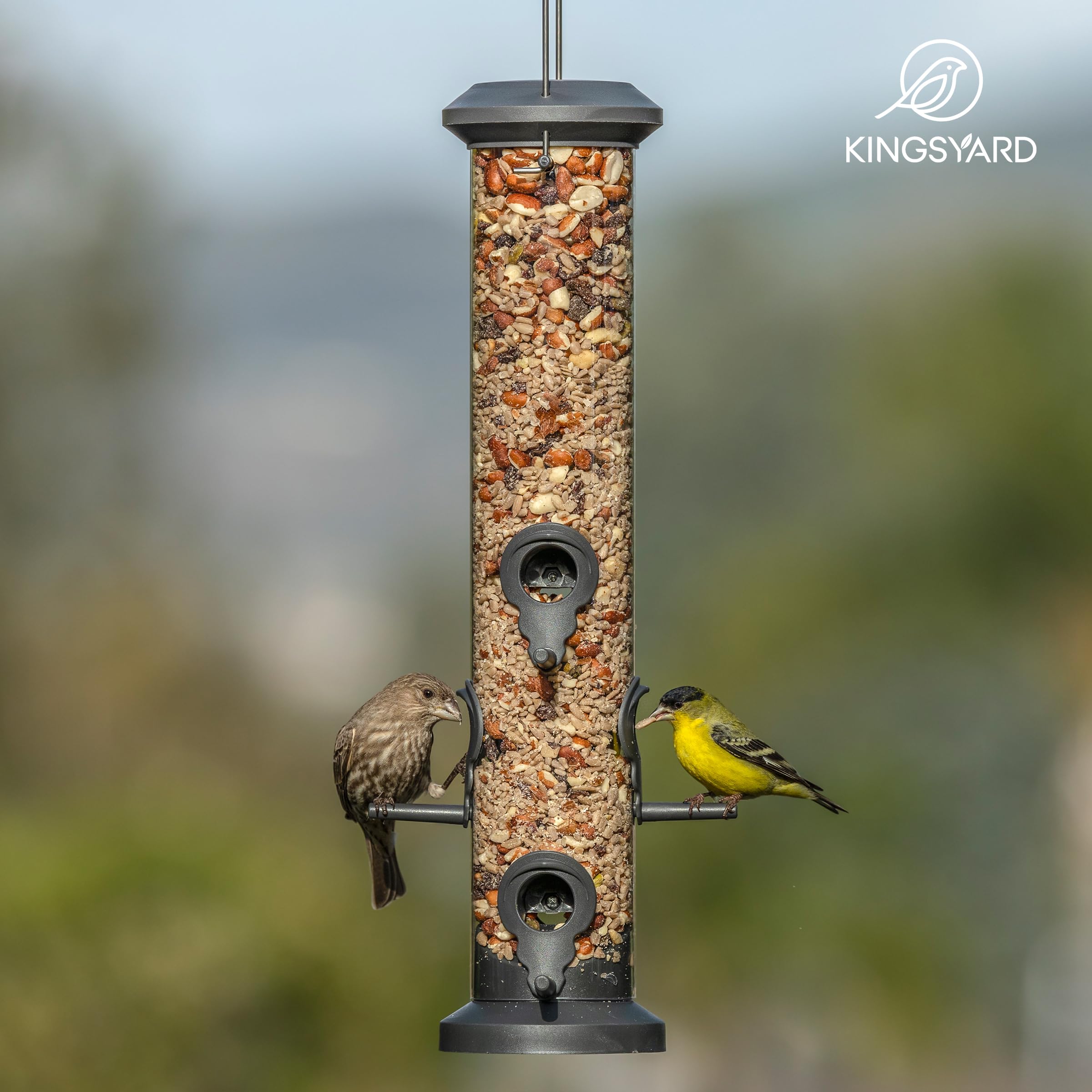 Kingsyard Tube Feeder with mixed seeds inside