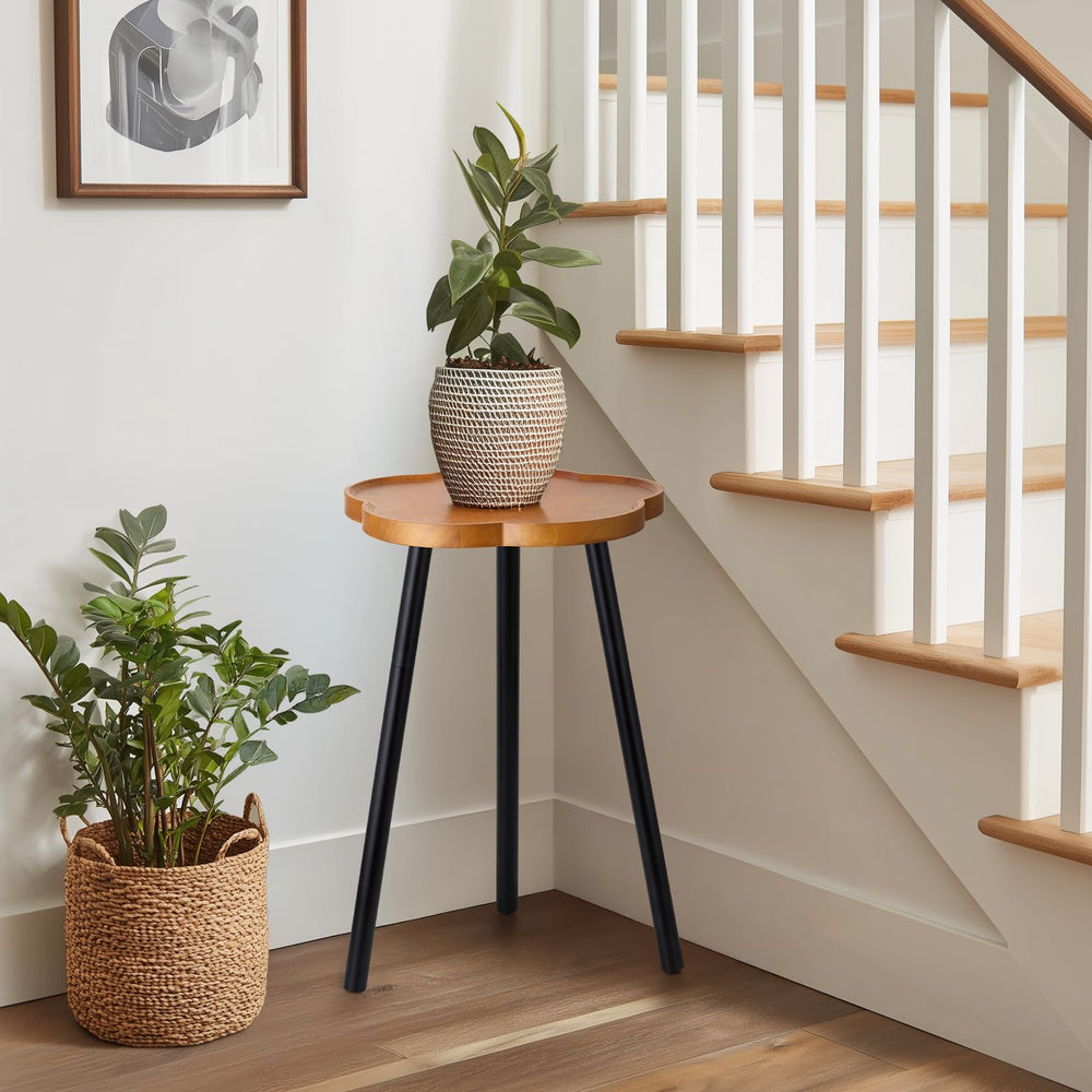 KINNARY Plant Stand with decorative items on it
