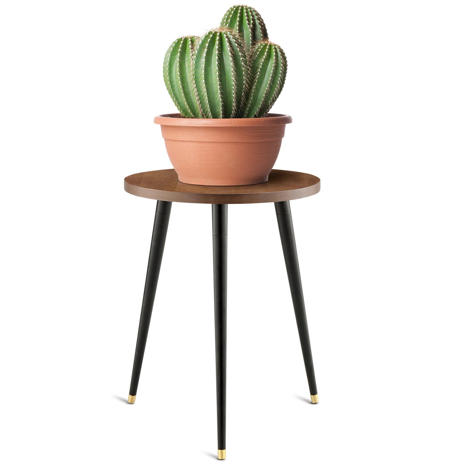 KINNARY Plant Stand with decorative plants indoors