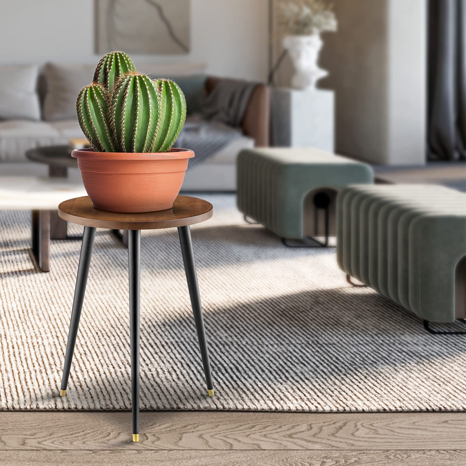 KINNARY Plant Stand with golden pads for stability