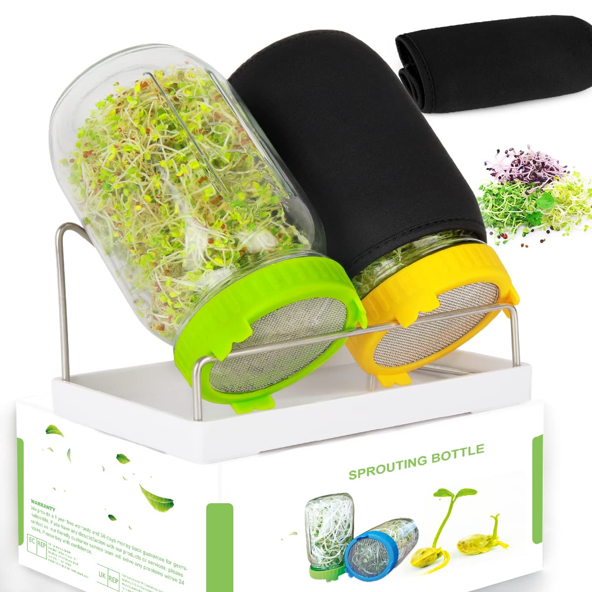 Kitmiido Seed Sprouting Kit with two large mason jars and stainless steel stand