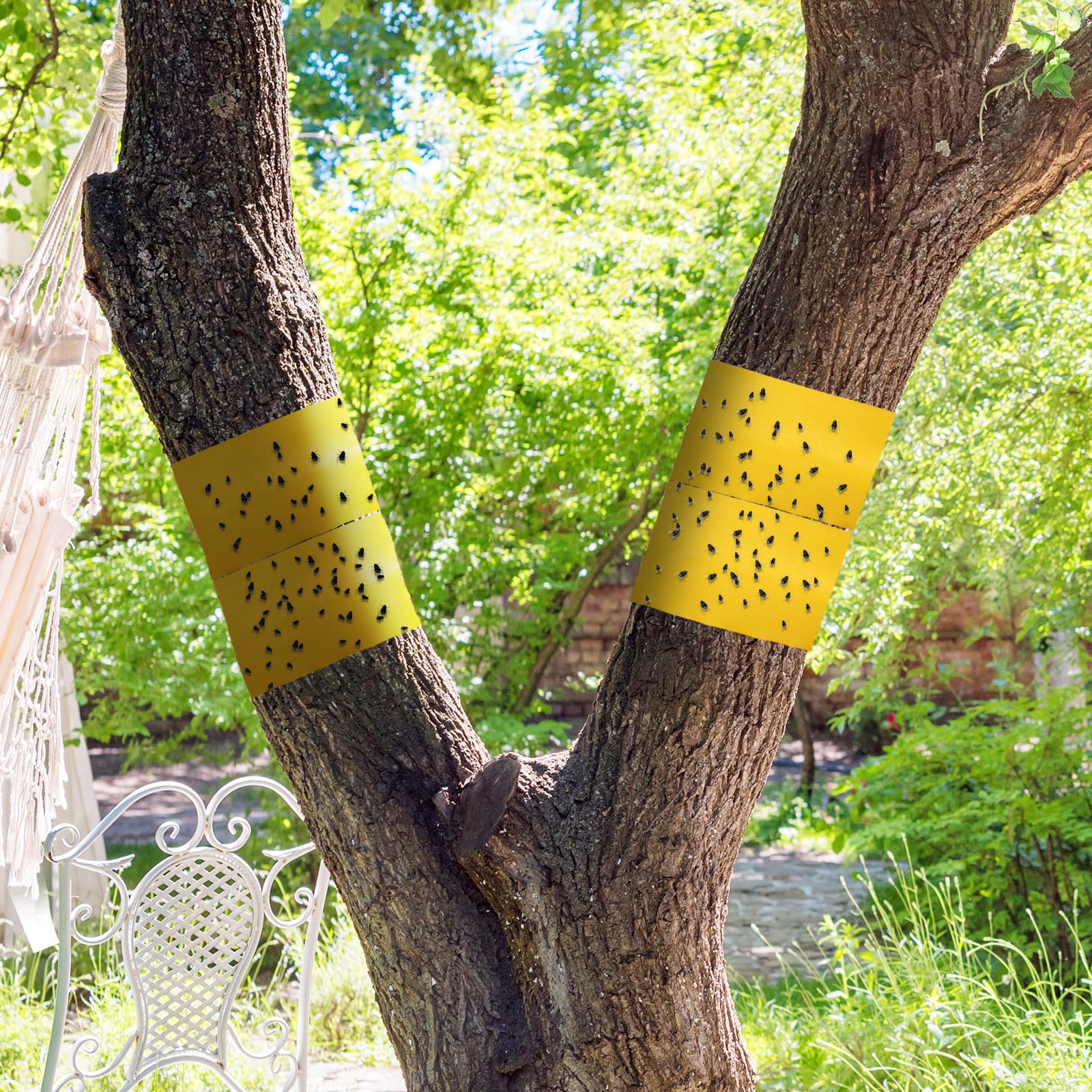 Kittmip adhesive tape showing effectiveness against flies
