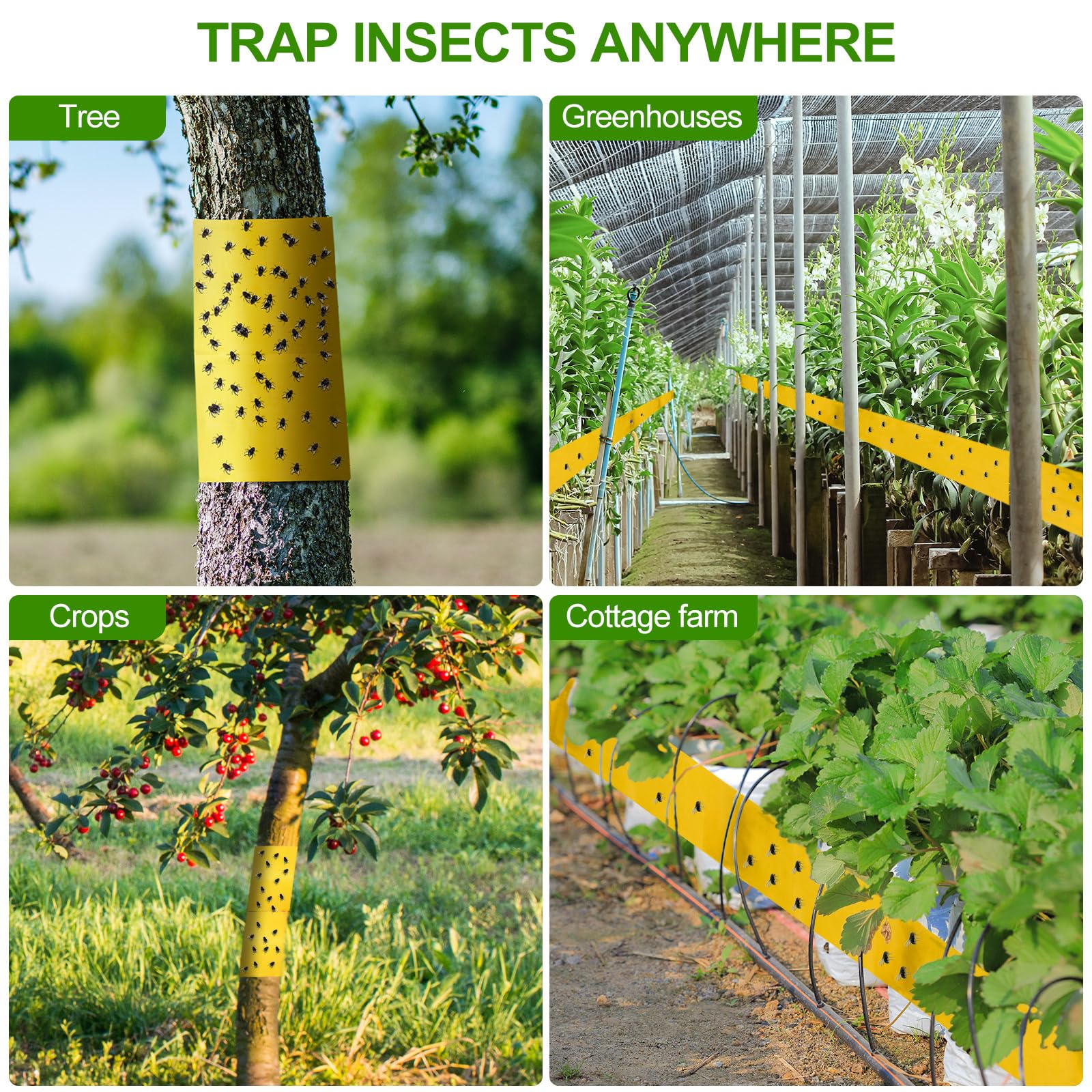Kittmip Lantern Fly Tree Tape rolls stacked together