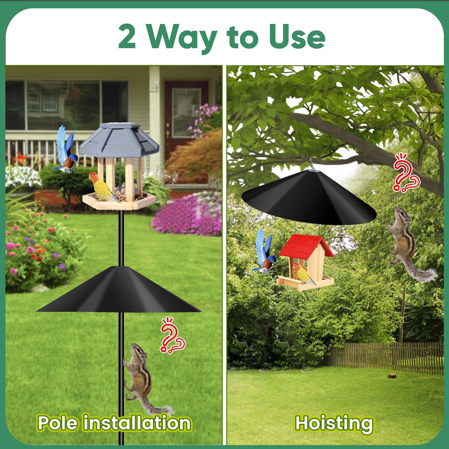 KITVONA squirrel baffle in garden setting