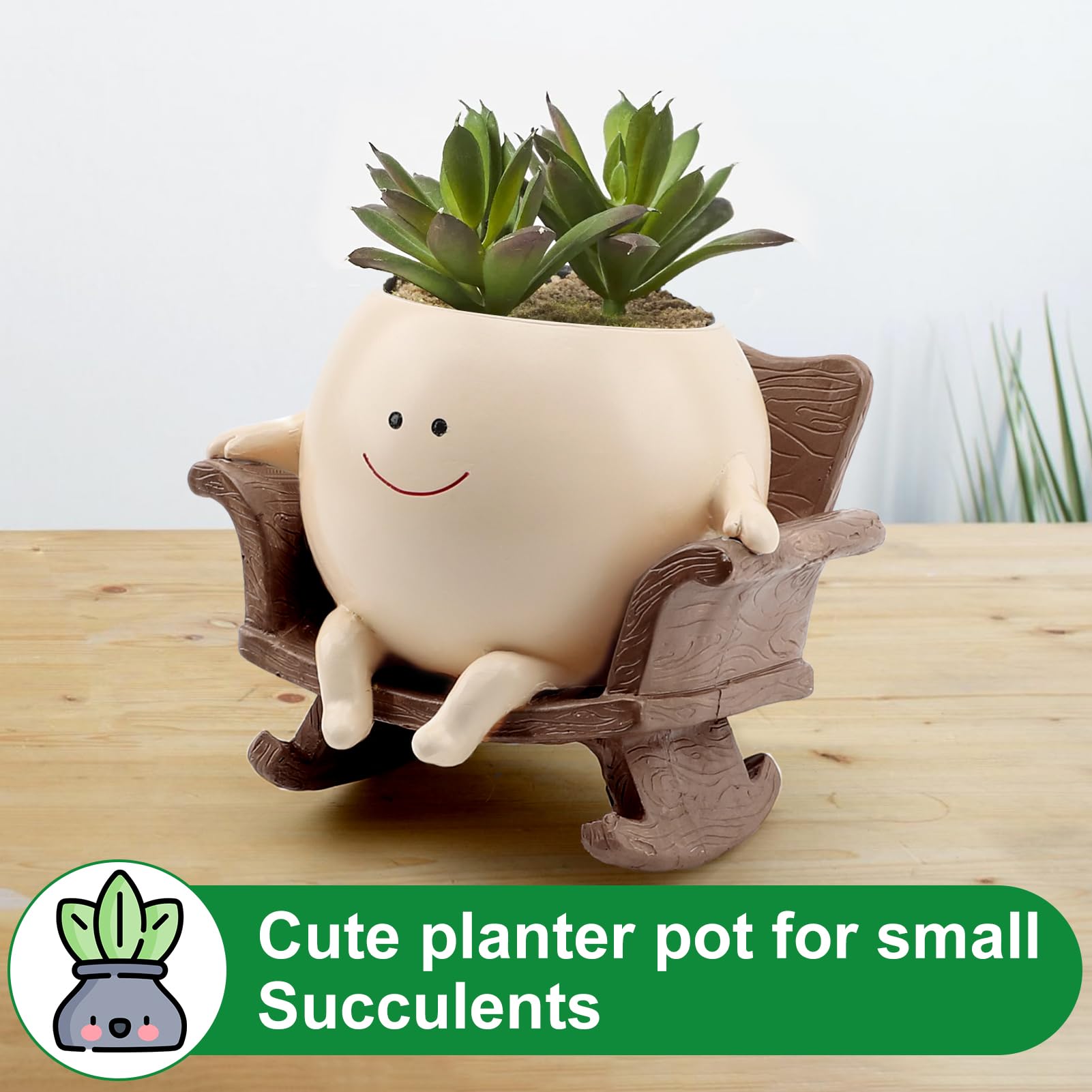 KIUGCO Smily Face Planter Pot with various indoor plants