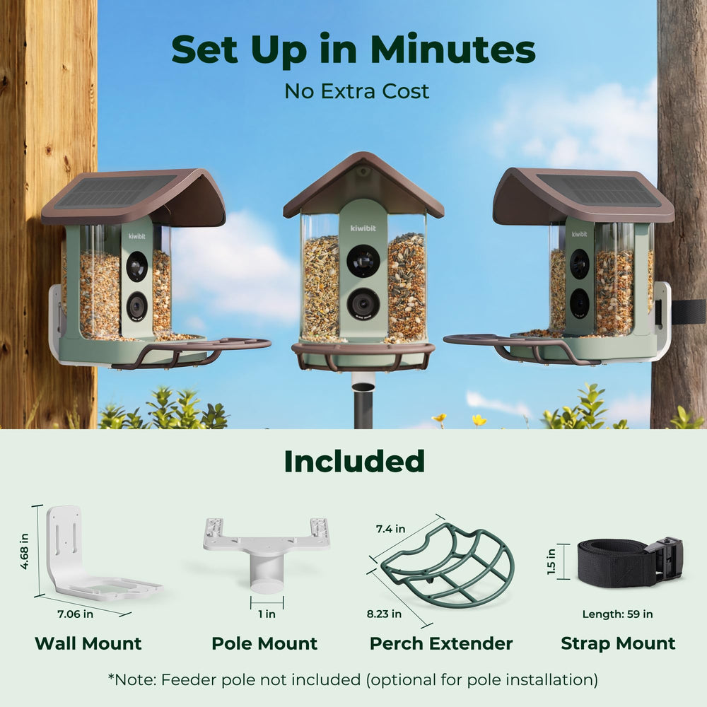 Kiwibit Bird Feeder in use attracting various birds