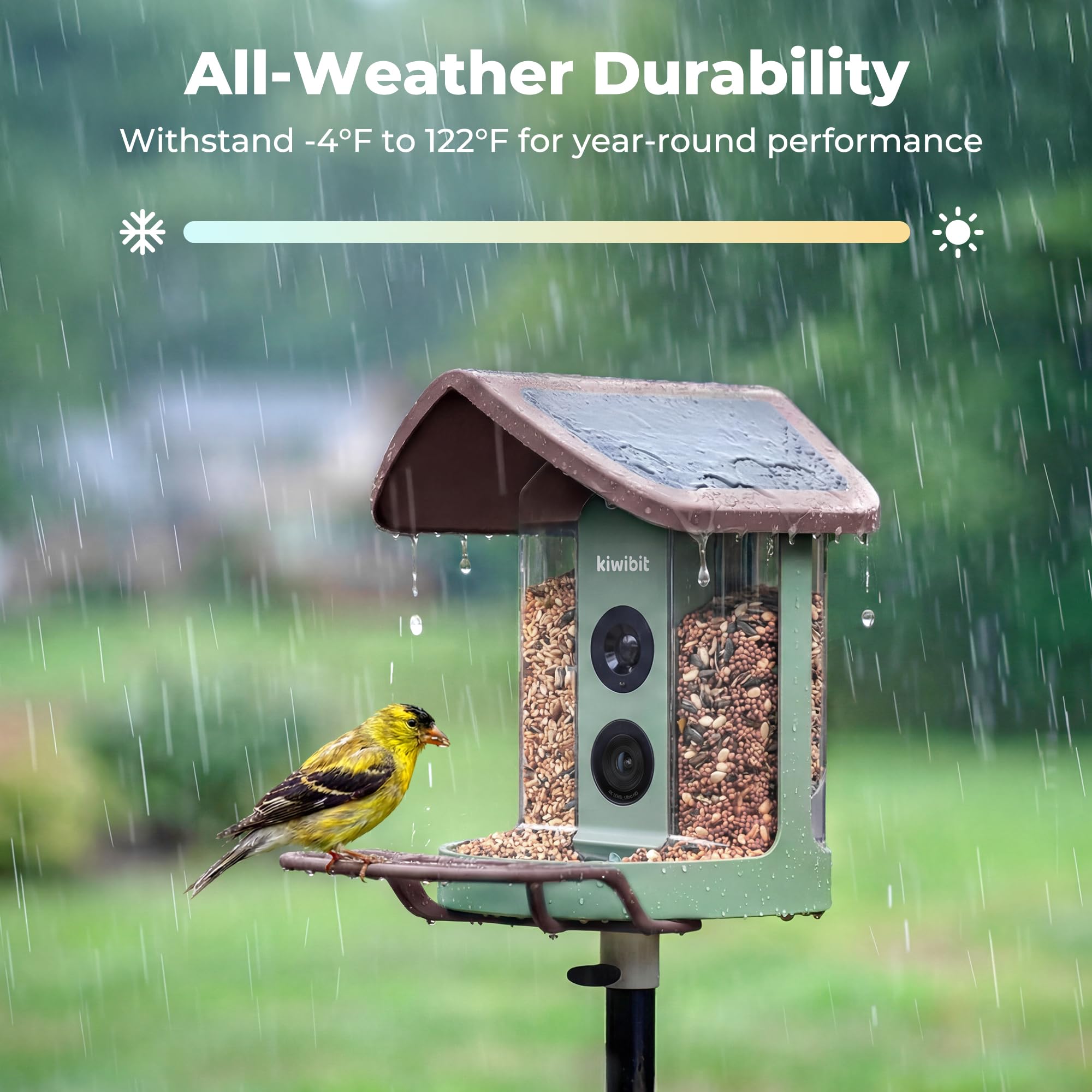 Kiwibit Bird Feeder installed on a tree mount