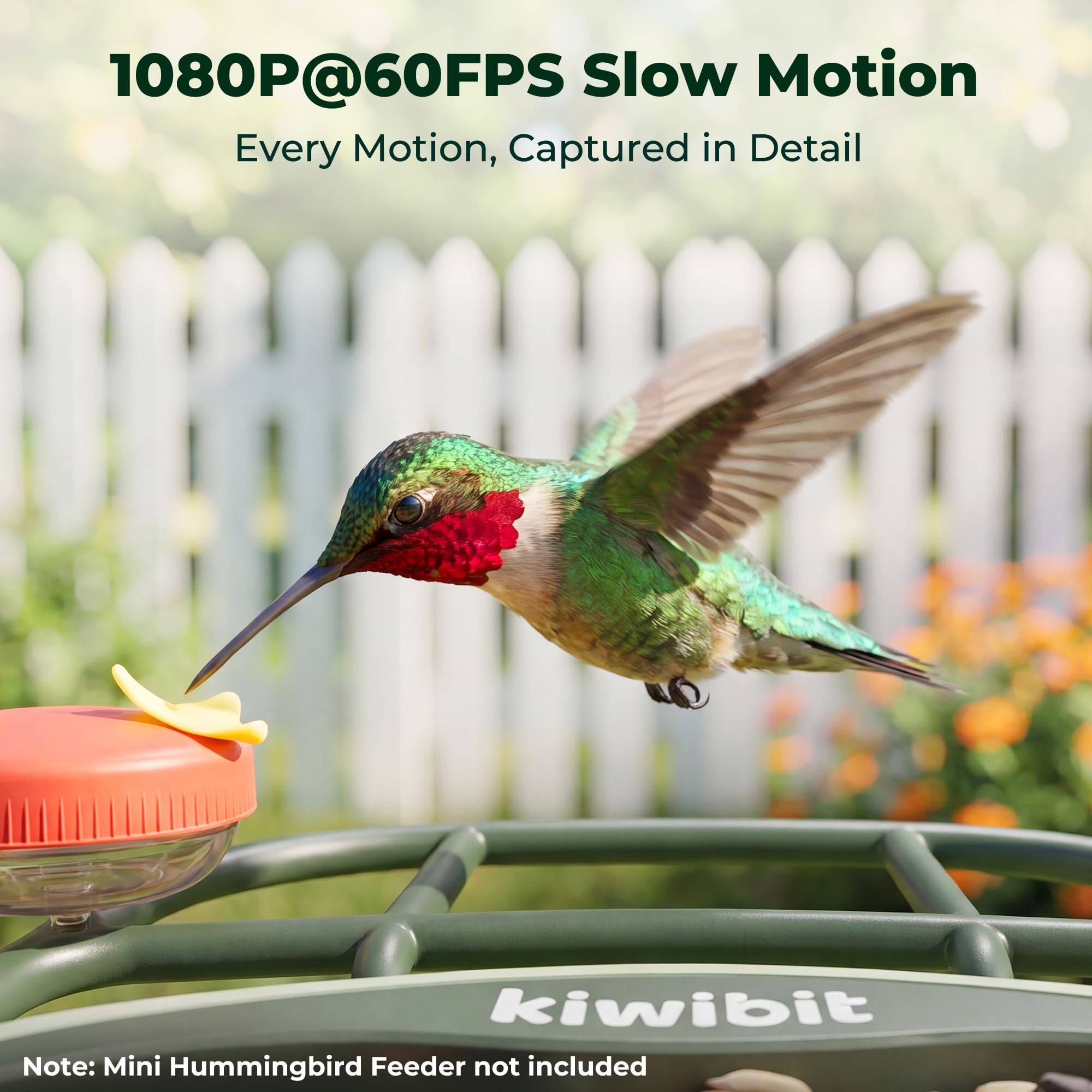 Kiwibit bird feeder mounted on a fence