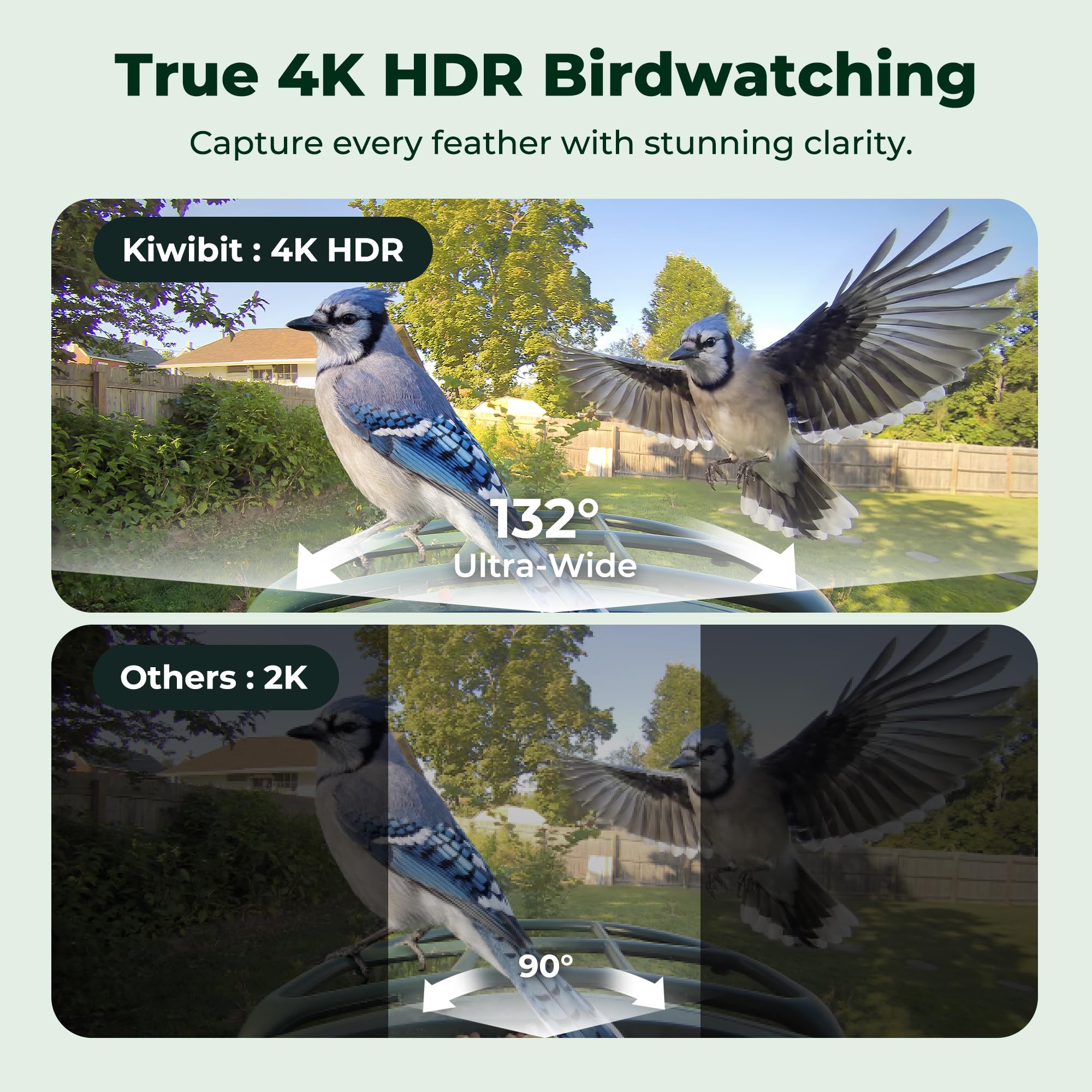 Kiwibit Bird Feeder showcasing solar panel and camera