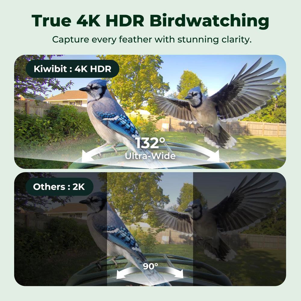 Kiwibit Bird Feeder showcasing solar panel and camera