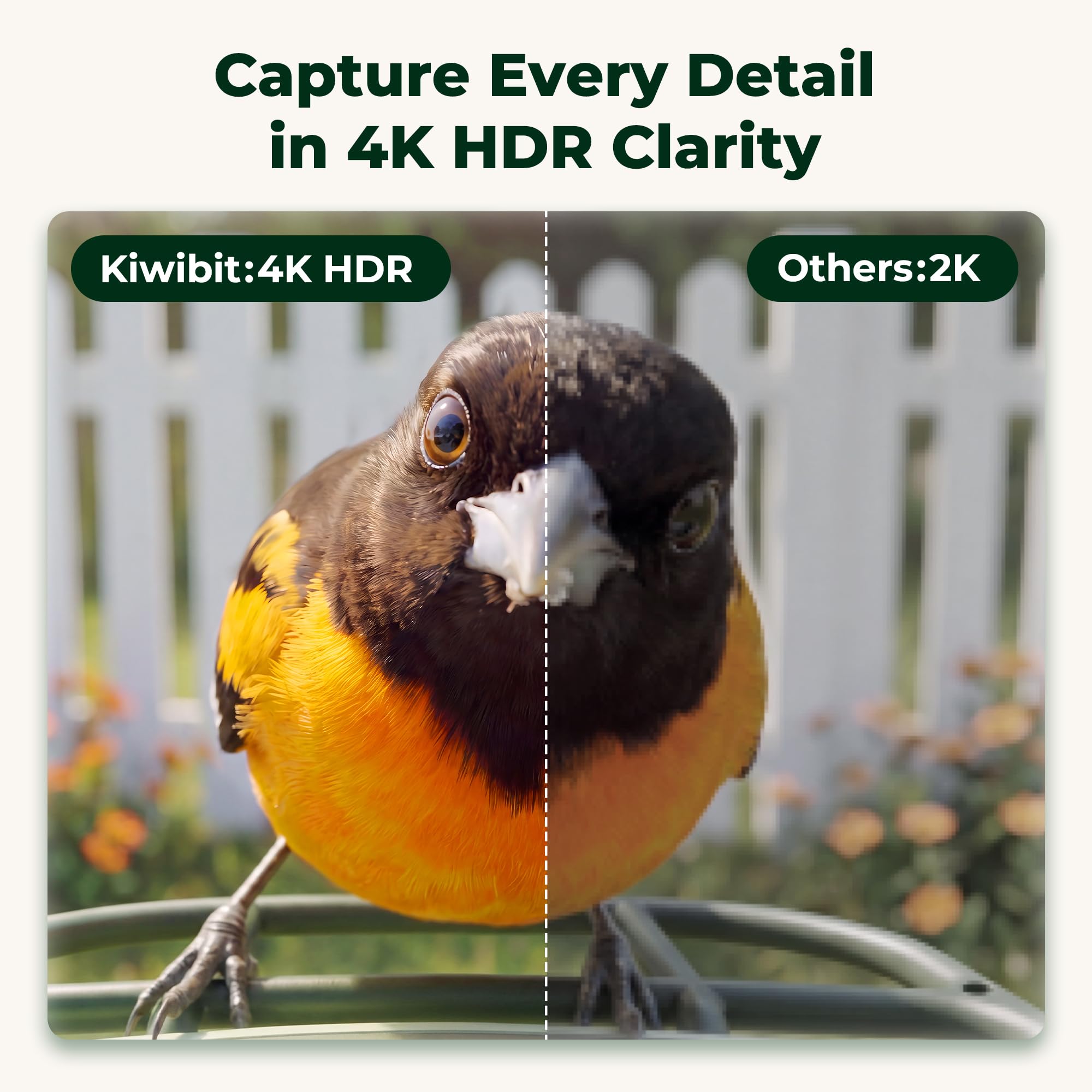 Kiwibit bird feeder showing 4K camera and solar roof