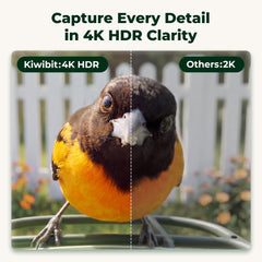 Kiwibit bird feeder showing 4K camera and solar roof