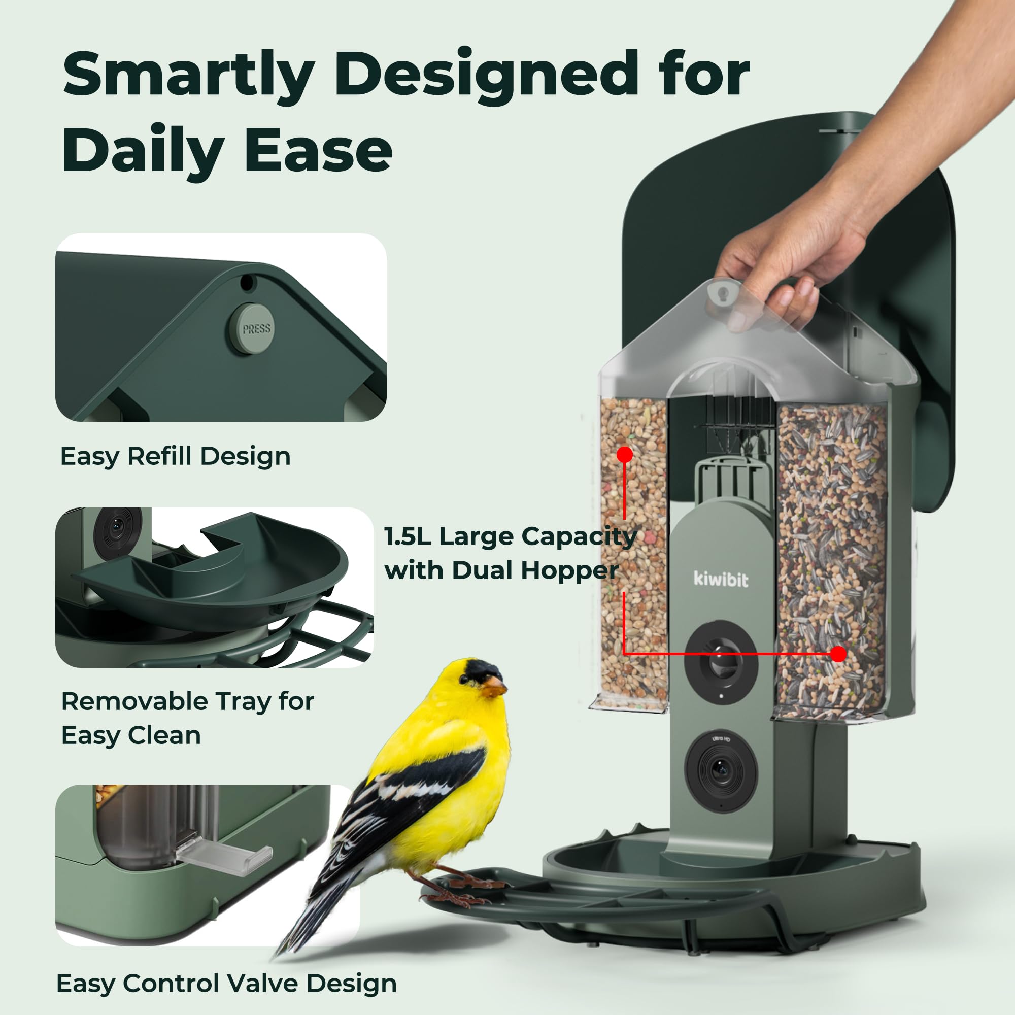 Kiwibit Bird Feeder showing 4K livestream feature