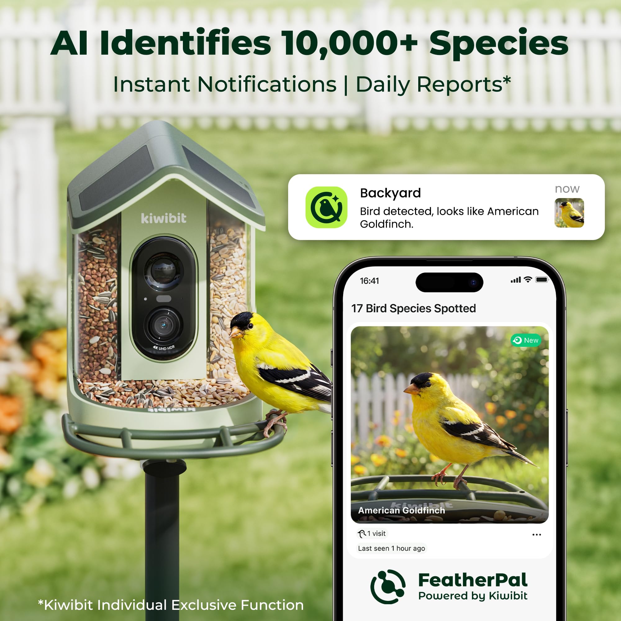 Kiwibit bird feeder with 1L seed container