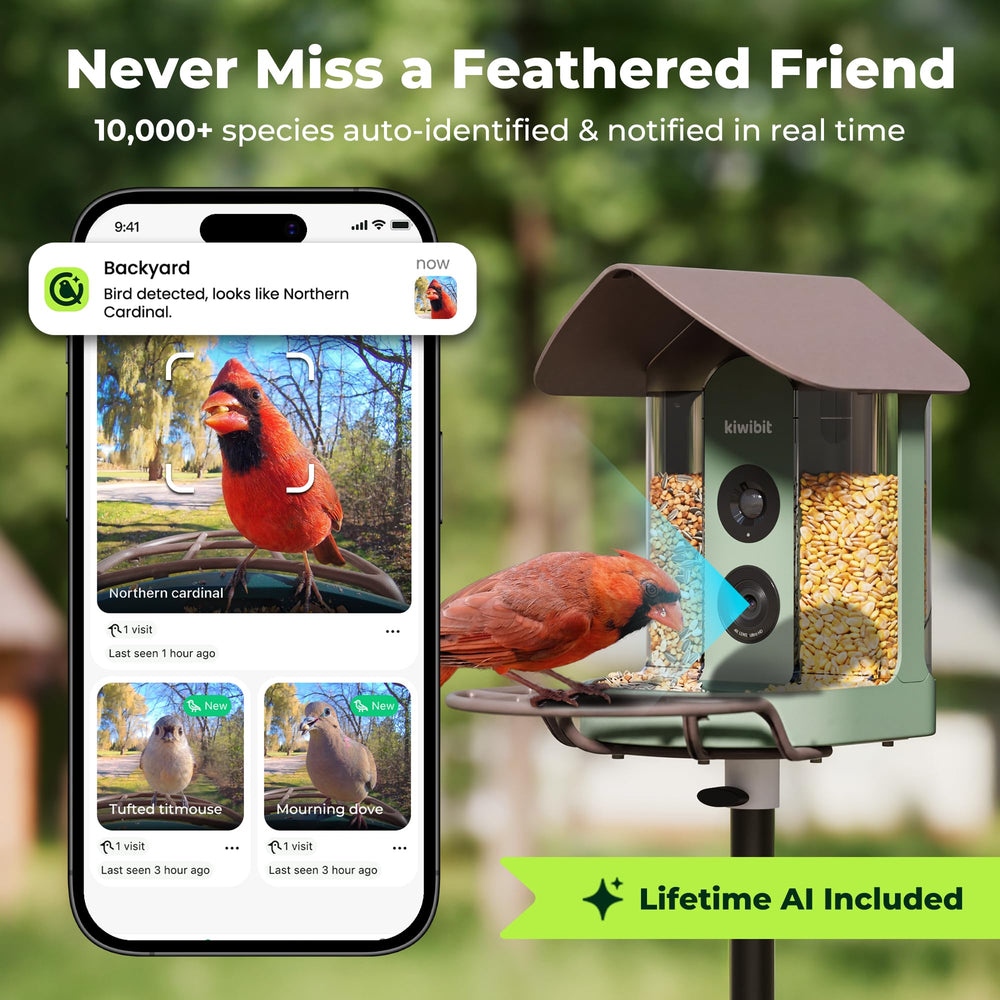 Kiwibit Smart Bird Feeder in action capturing birds
