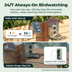 Kiwibit Smart Bird Feeder with dual-compartment design