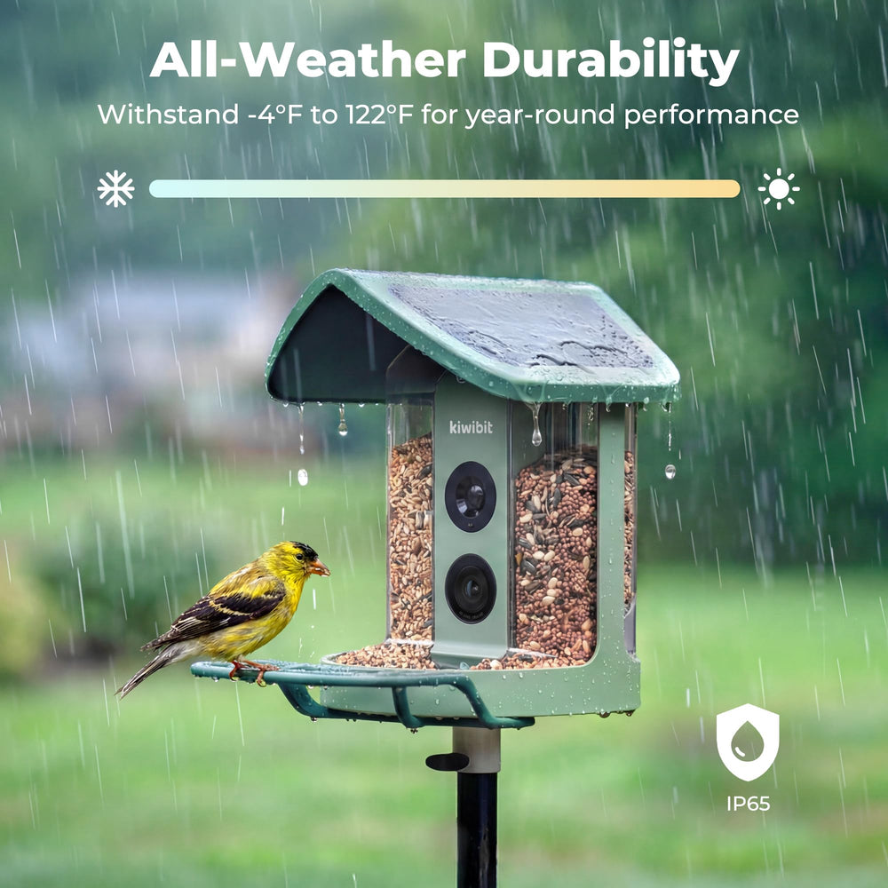 Kiwibit Solar Smart Bird Feeder showing night vision feature