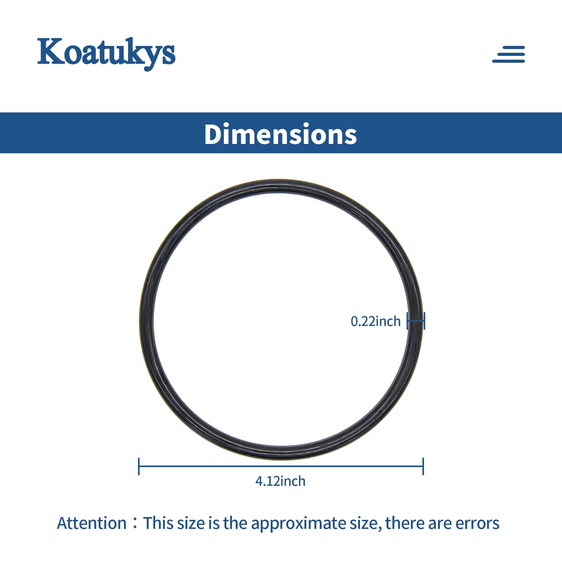 Koatukys O-Ring installed in a Pentair Chlorinator