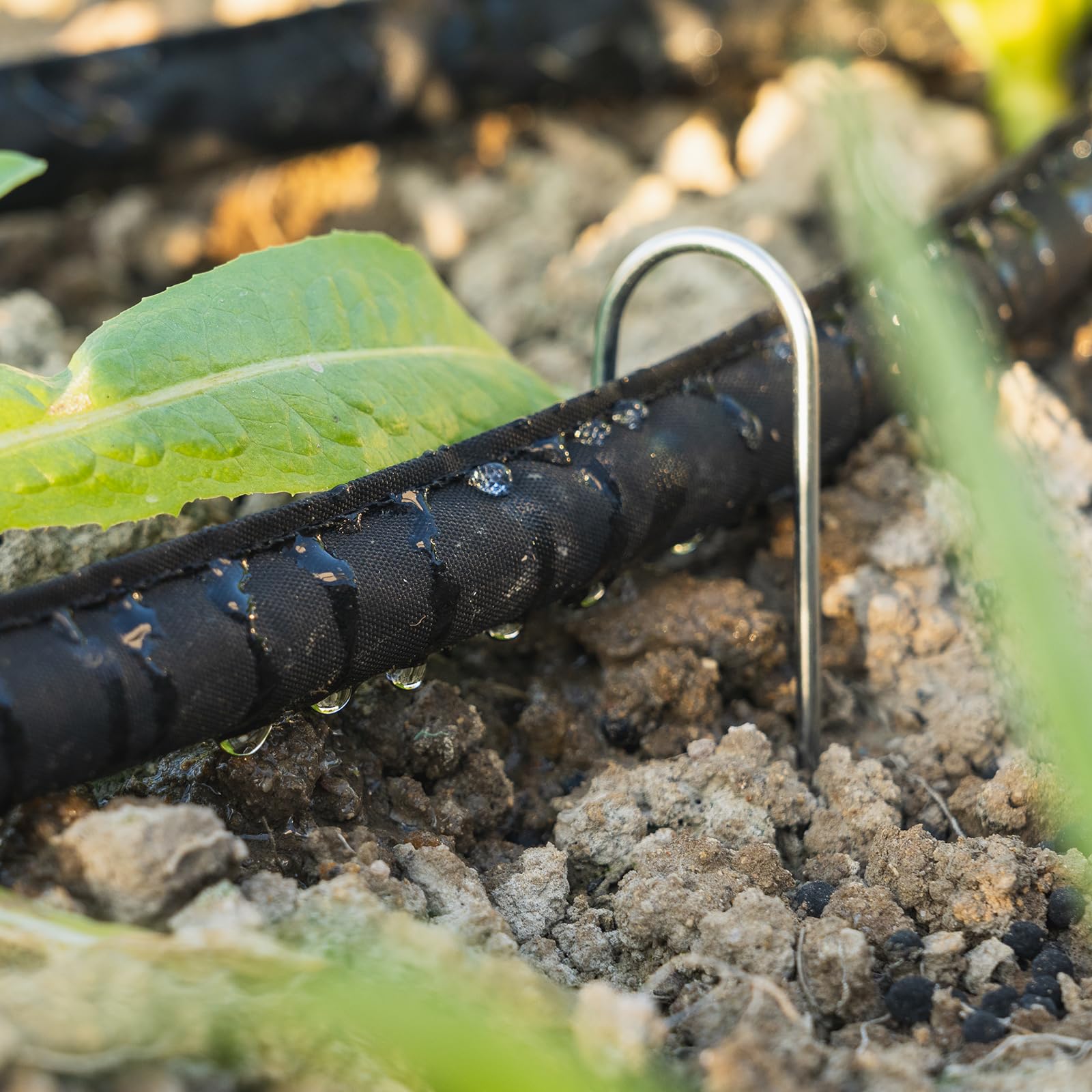 KOBAZ Flat Soaker Hose in use watering plants
