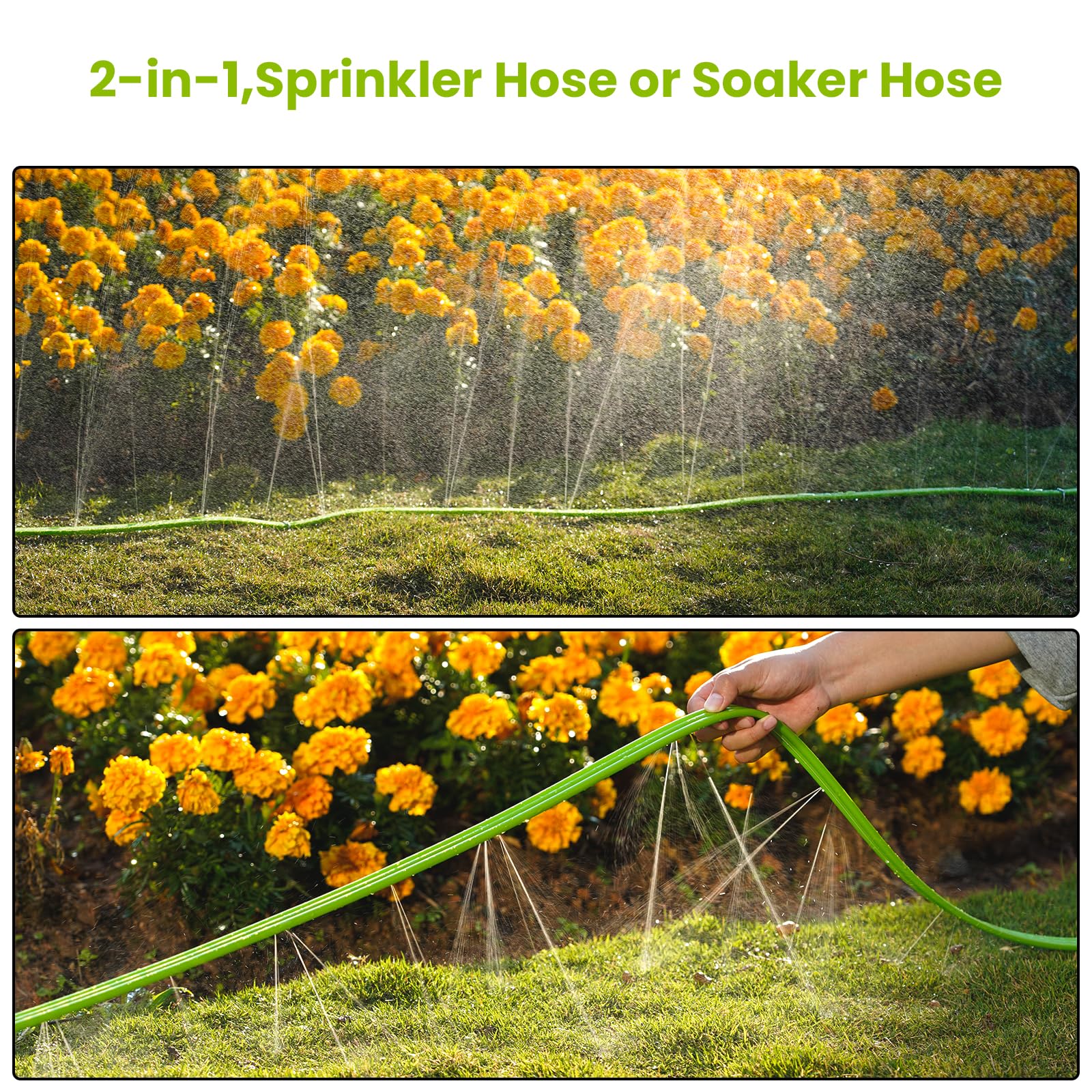 KOBAZ Sprinkler Hose laid flat in a garden with stakes