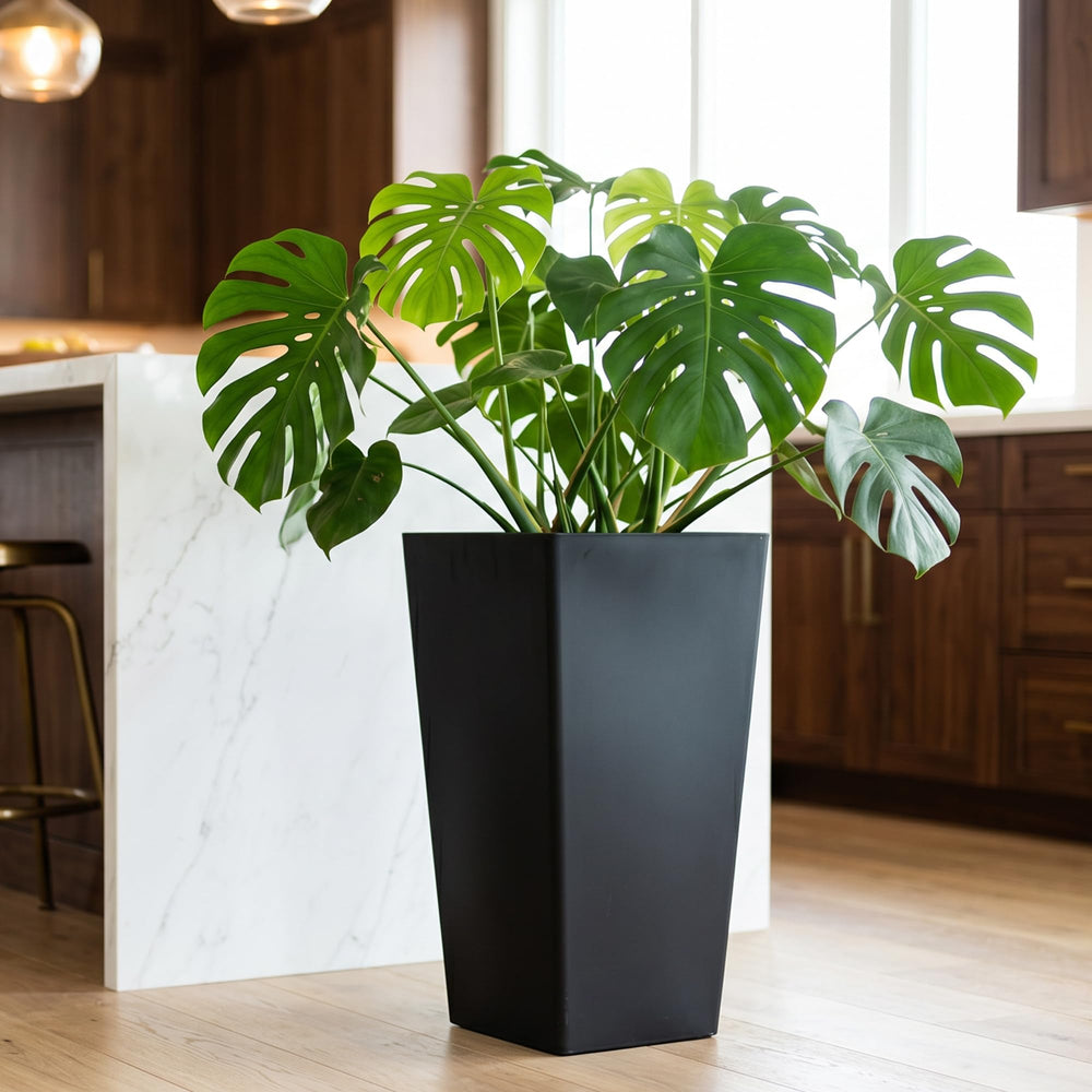 KOL black planter with drainage holes