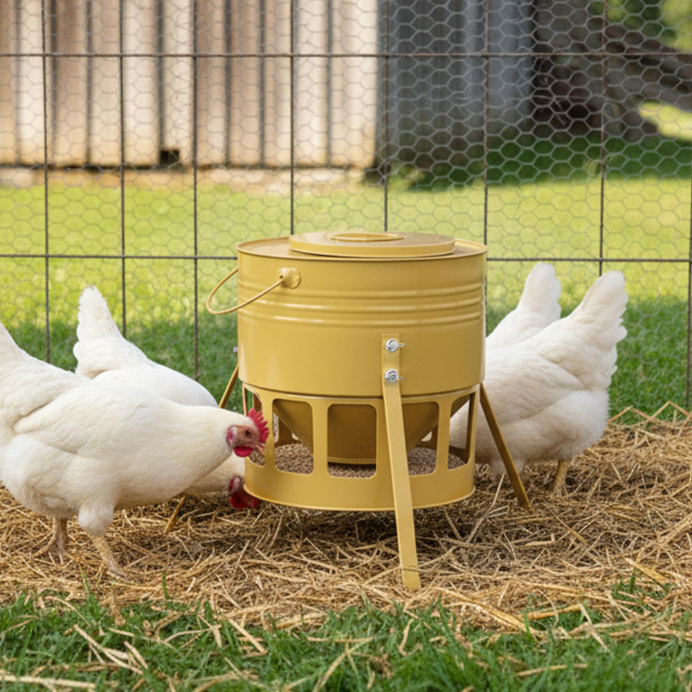 KOL Metal Chicken Feeder showing anti-spill design