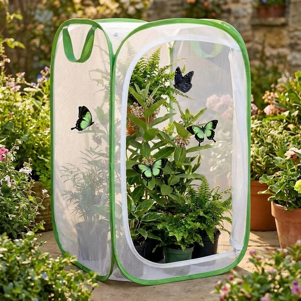 KraAra butterfly habitat cage in a backyard setting